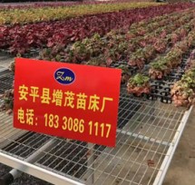 防腐蝕苗床 防腐蝕苗床